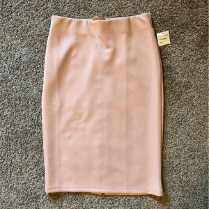 BRAND NEW Knee-Length Skirt Pale Pink Size 6. Gold Zipper along the back.